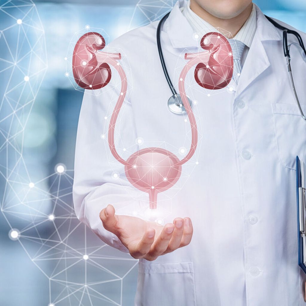 Das Urothelkarzinom des oberen Harntrakts Universimed Medizin im